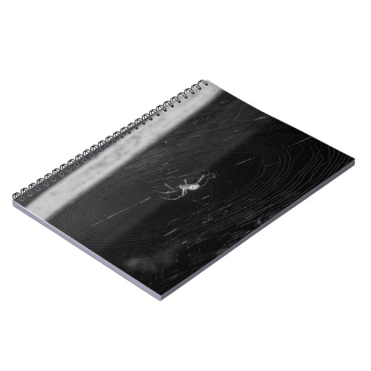 Cellar Spider ノートブック (左側)