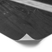 Cellar Spider ポスター (角)