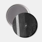 Cellar Spider マグネット (正面/裏面)