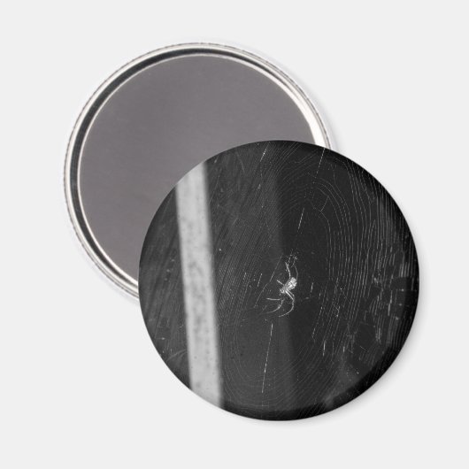 Cellar Spider マグネット (正面/裏面)