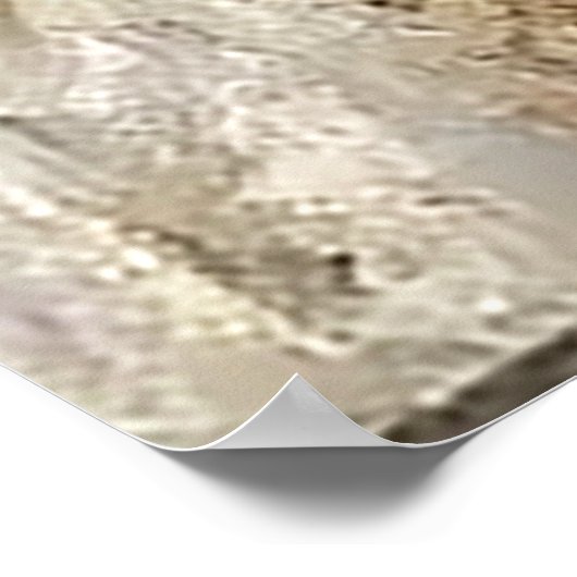 Cello Serenade  ポスター (角)