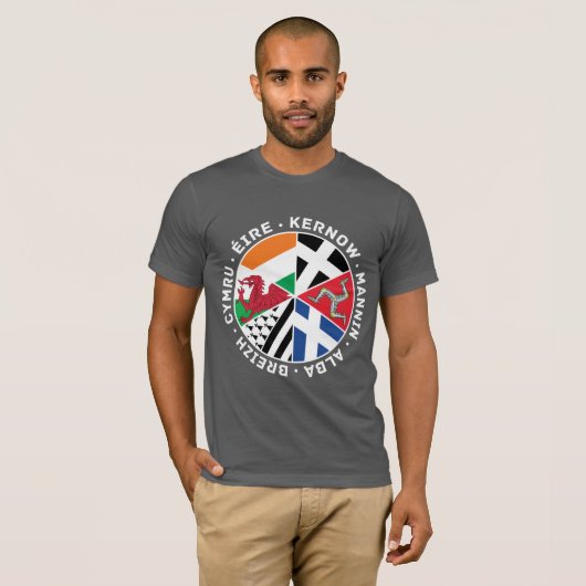 Celtic Nations Flags Men's T Shirt, Wales, Celt Tシャツ (正面フル)