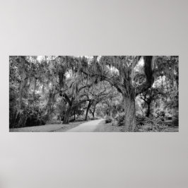 Cematery、Savannah Ga、MD写真 ポスター