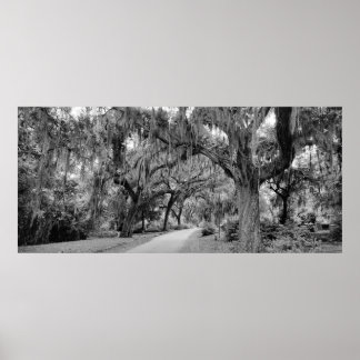 Cematery、Savannah Ga、MD写真 ポスター