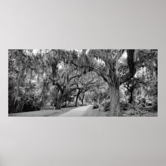 Cematery、Savannah Ga、MD写真 ポスター (正面)