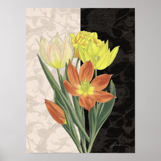 Centerpiece II ポスター (正面)