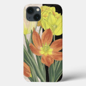 Centerpiece II Case-Mate iPhoneケース (裏面)