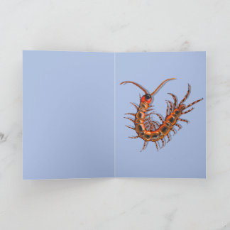 Centipede  カード