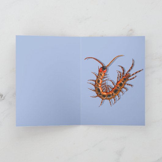 Centipede  カード (内部)