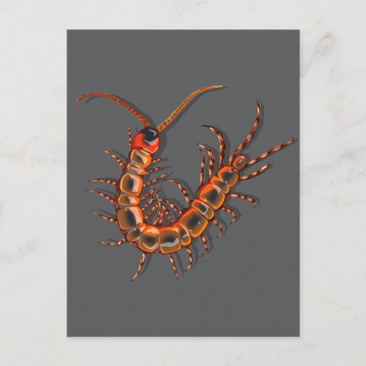 Centipede ポストカード (正面)