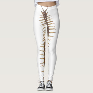 Centipede Leggings  レギンス