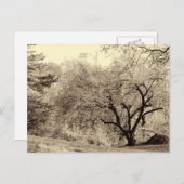 Central Parの黒と白の風景の冬の木 ポストカード (正面/裏面)