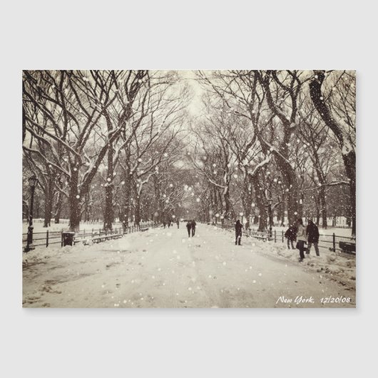 Central Park Magnetic Card (正面)