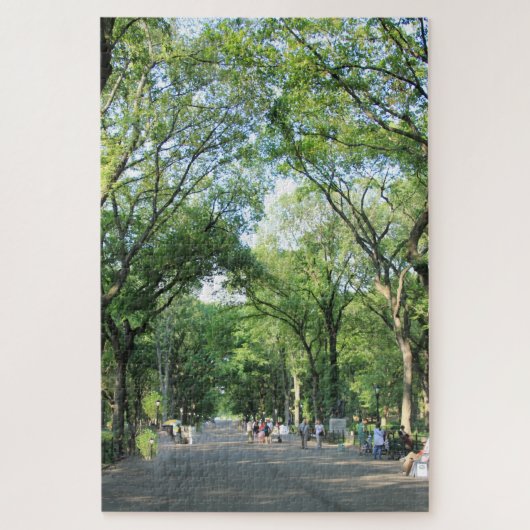 Central Park: Poet's Walk in the Summer ジグソーパズル (縦)