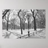 Central Park Snowfall B&W ポスター (正面)