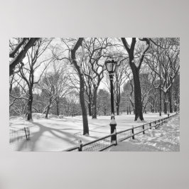 Central Park Snowfall B&W ポスター