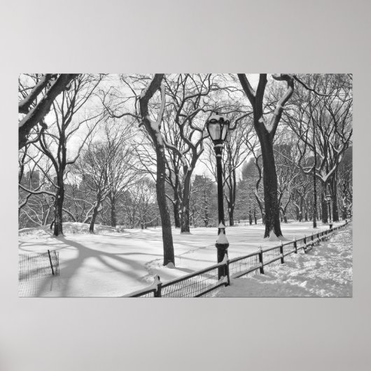 Central Park Snowfall B&W ポスター (正面)