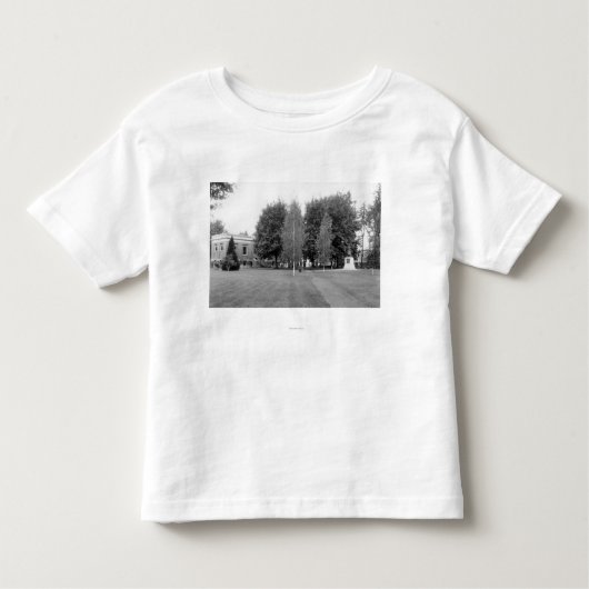 Centralia、都市公園の写真のWAの町の眺め トドラーTシャツ (正面)