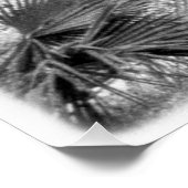 "Century Oak" Black and White Wall Art  ポスター (コーナー)