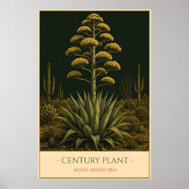 Century Plant – Vintage Botanical Illustration ポスター