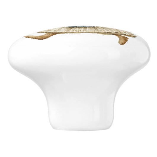 Ceramic Drawer Pull - Running Free no Background セラミックノブ (側面)