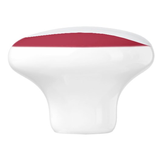 Ceramic knob pull with flag of Thailand セラミックノブ (側面)