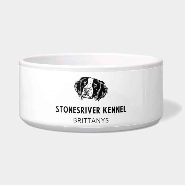 Ceramic SRK Brittany Food Bowl ボウル (正面)