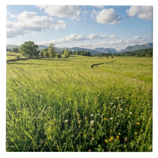 Ceramic Tile タイル (正面)