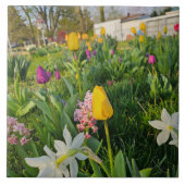 Ceramic Tile タイル (正面)