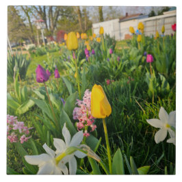 Ceramic Tile タイル