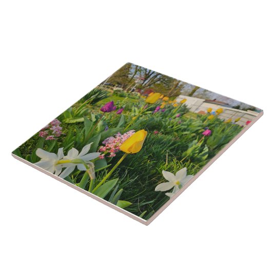 Ceramic Tile タイル (側面)