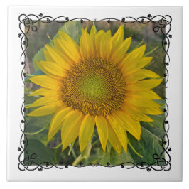 Ceramic Tile タイル