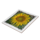 Ceramic Tile タイル (側面)