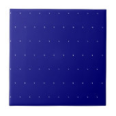 Ceramic Tile Blue & White Dotted  タイル (正面)