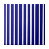 Ceramic Tile Blue & White Stripe タイル (正面)
