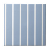 Ceramic Tile Blue & White Stripe  タイル (正面)