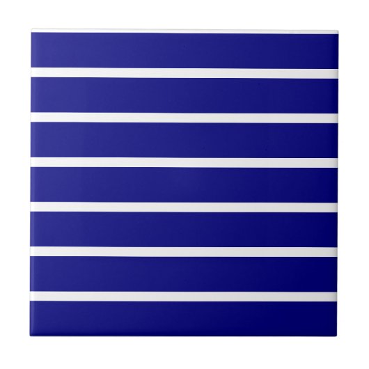 Ceramic Tile Blue & White Stripe タイル (正面)