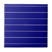 Ceramic Tile Blue & White Stripe タイル (正面)
