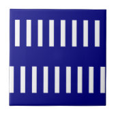 Ceramic Tile Blue & White Stripe タイル (正面)