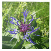 Céramique décoration murale, Fleur bleue. タイル (正面)