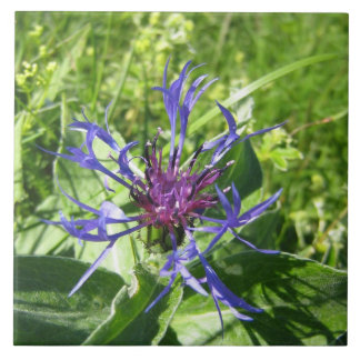 Céramique décoration murale, Fleur bleue. タイル