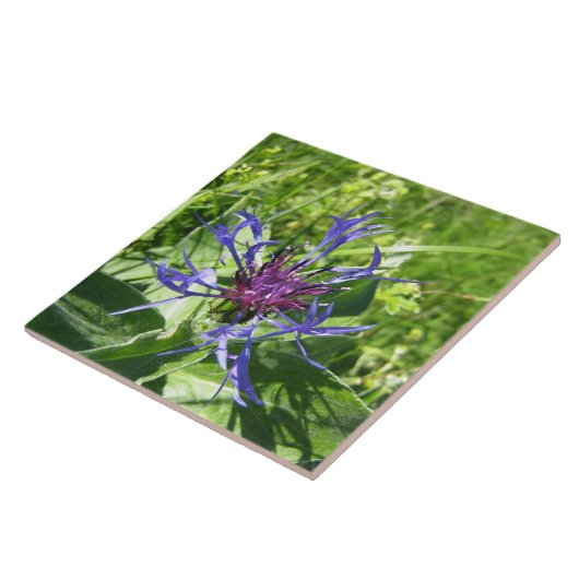 Céramique décoration murale, Fleur bleue. タイル (側面)