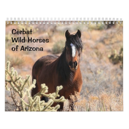 Cerbat Wild Horses Calendar カレンダー (カバー)