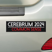 cerembrum 2024バンパーステッカー バンパーステッカー (車上)