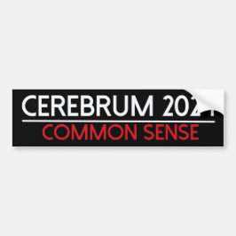 cerembrum 2024バンパーステッカー バンパーステッカー