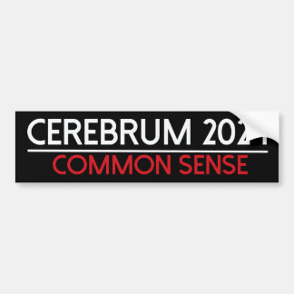 cerembrum 2024バンパーステッカー バンパーステッカー
