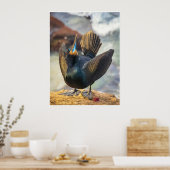 Ceremony of the Sea: Cormorant in Display Photo ポスター (キッチン)