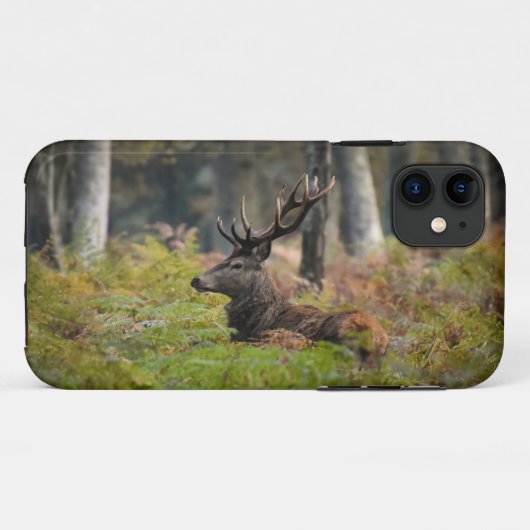 Cerf en forêt de fontainebleau Case-Mate iPhoneケース (裏面(横))