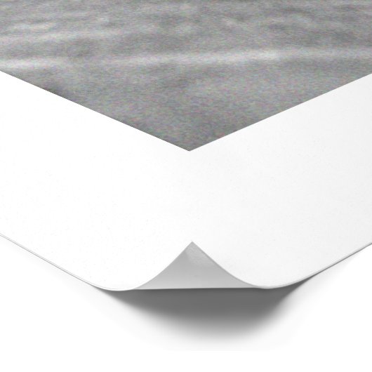 Cerné ポスター (角)