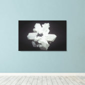 Cerussite結晶（PbC03、炭酸鉛）、Namibi キャンバスプリント (インサイチュ (ウッドフロア))